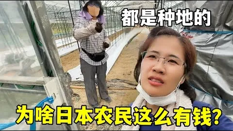 WTT仁川男单冠军赛：林高远与F-勒布伦同区，薛飞或再战张本智和